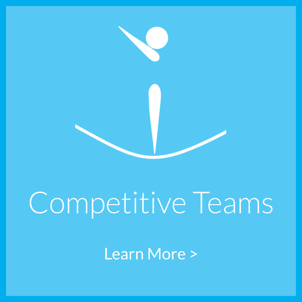 Competitive Teams